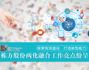 探索有效途徑，打造新型能力——棟方股份兩化融合工作亮點(diǎn)紛呈